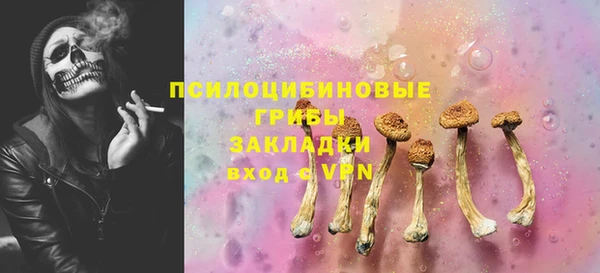 ECSTASY Абаза