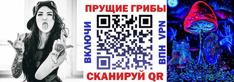 Галлюциногенные грибы мицелий  Нижнекамск 